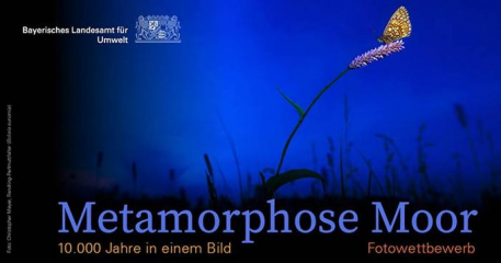 „Metamorphose Moor“ - Image