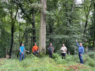 Totholz ist wertvoll für  die Artenvielfalt im Wald - Image