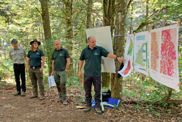 „Waldbau im Klimawandel“: 