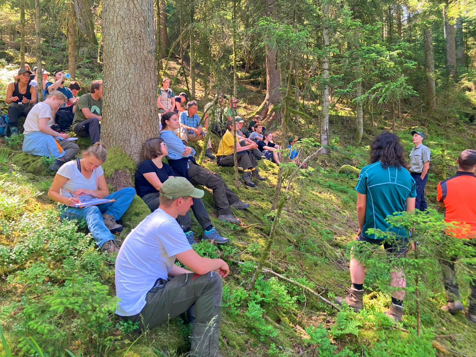 Ortenauer Wälder als Lernorte und Forschungsobjekte