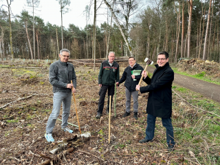 2250 Bäume für den Klimawald - Image